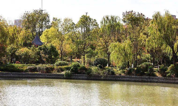 來鹽城世紀公園,欣賞與眾不同的風景(7)_地方_草地_果實