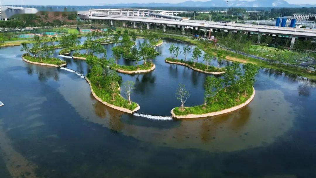 大廠桃湖公園榮獲2022年南京市這一獎項!_新區_景觀_方面