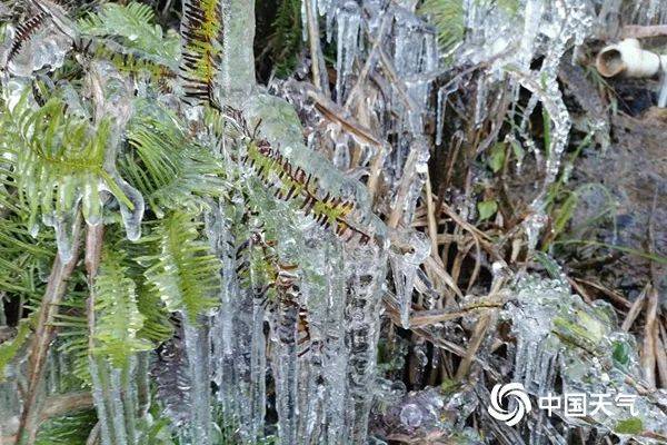 暴雪+降温,新一轮冷空气来袭_影响_气温_的地区