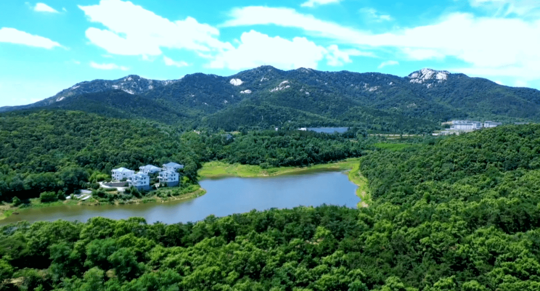 天福山上,有一群女民兵讲解员_红色_故事_文登