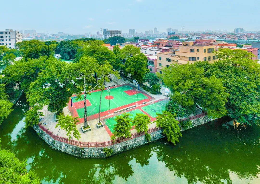 沙头北村颜值出圈,看看实力有多强_休闲_九江镇_一公园