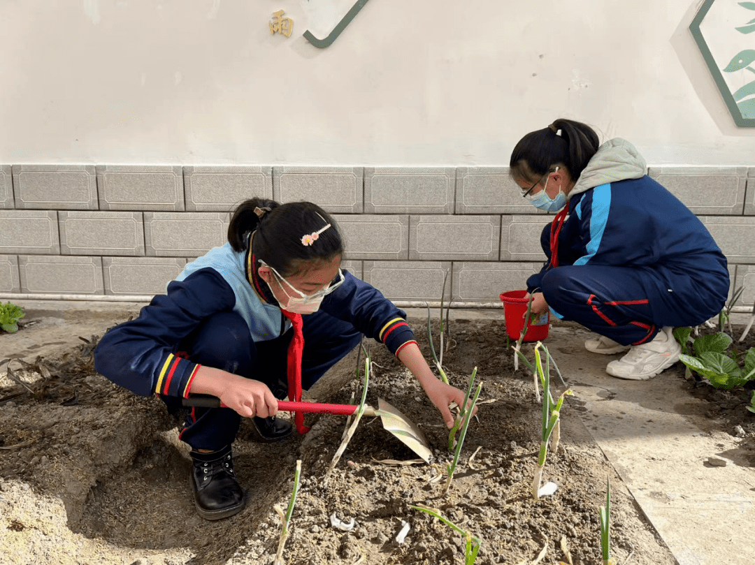 下关四中正阳图片