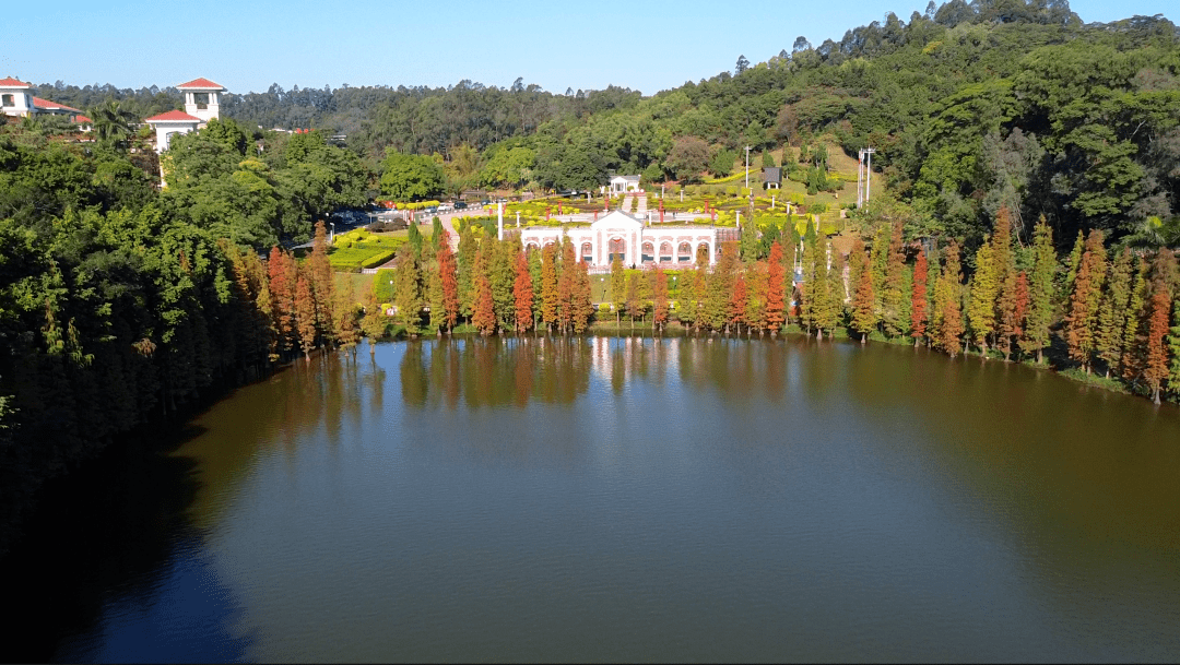 三水森林公园的水杉红了,快来打卡冬日美景_南湖_宣言_赛车场