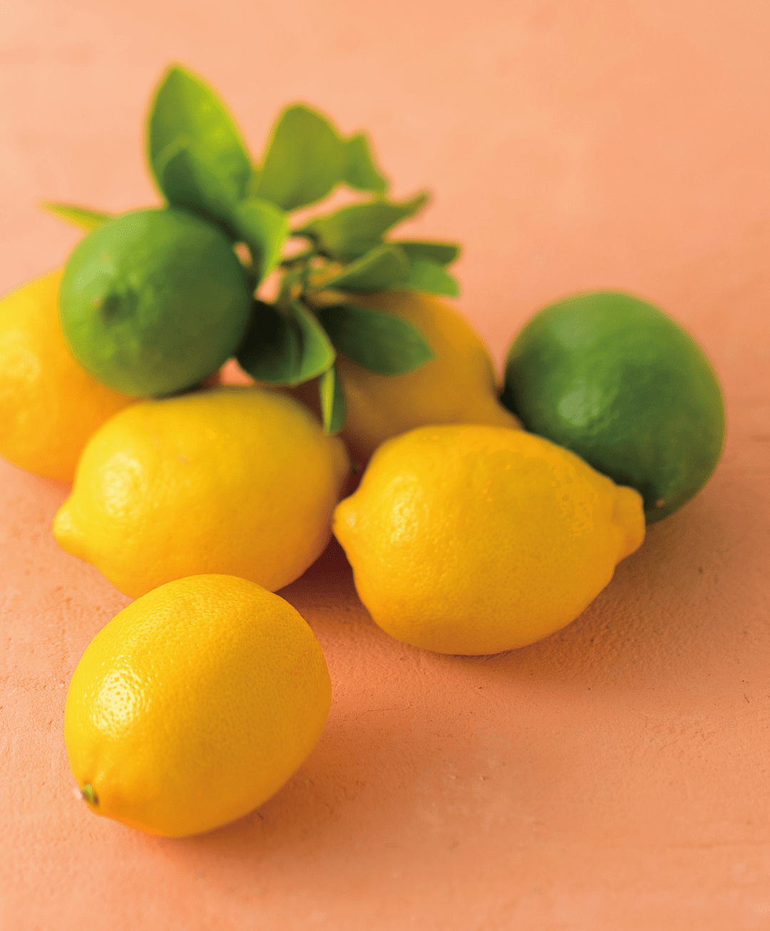 盆栽香水柠檬怎么养护 - 花百科