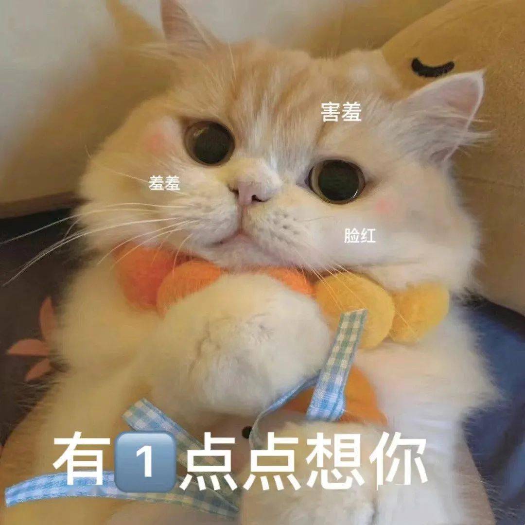 23_部分_建议_侵权