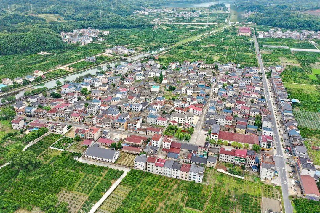 龍游希唐村入選省級歷史文化(傳統)保護利用村落_建築_宗祠_鄉村