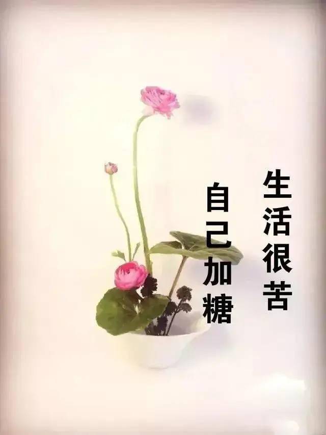 是自己的事坏的生活不在于别人的罪恶而在于我们的心情变得恶劣让生活