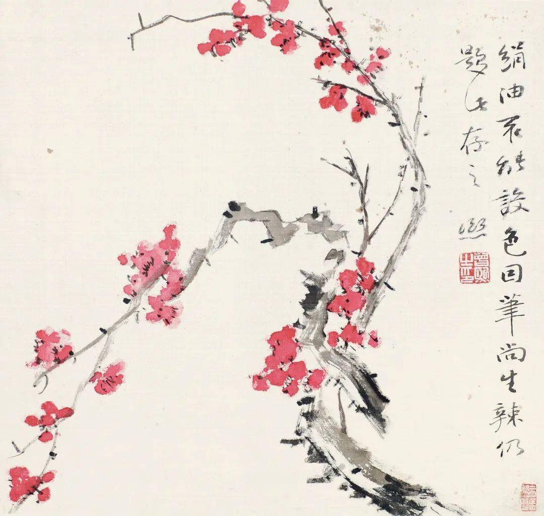 张大千的恩师写梅,清爽至极_梅花_图册_cm