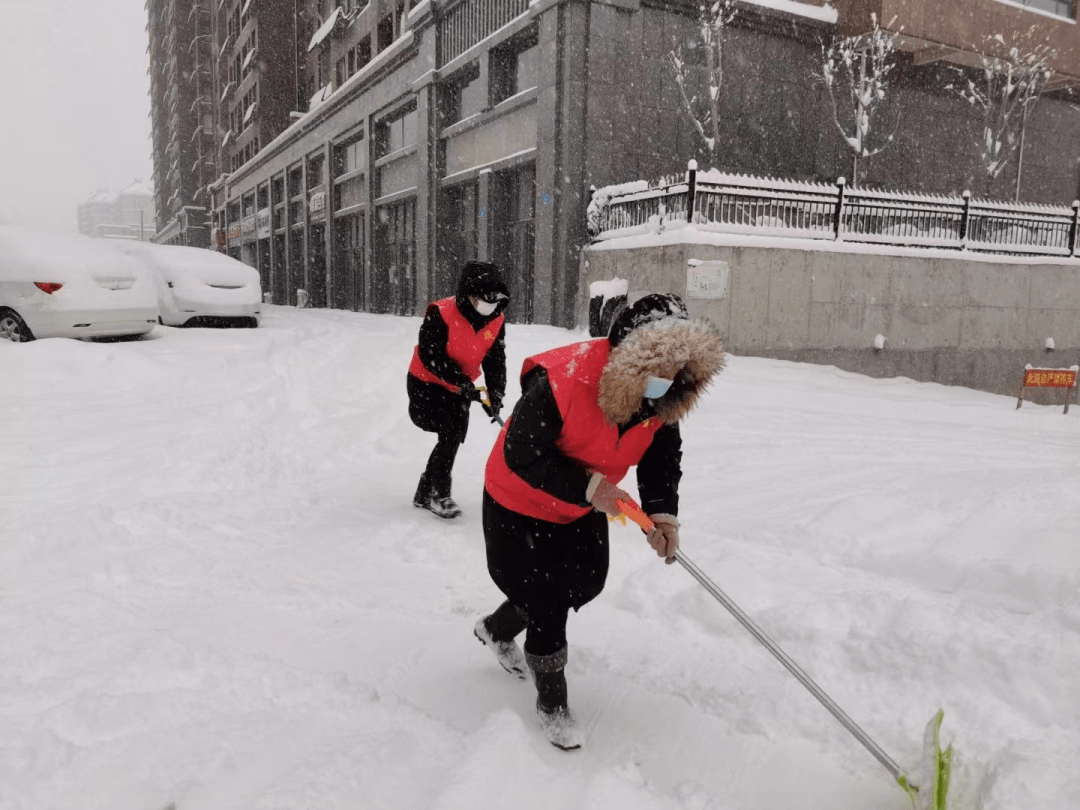 扫雪除冰保畅通 文登区青年志愿者在行动