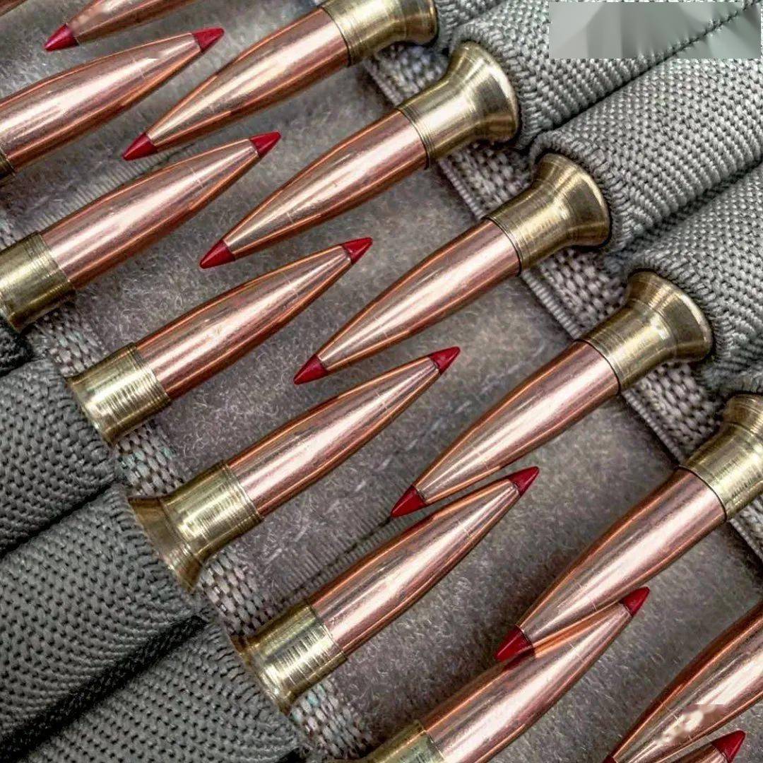 【家防 复装 精射样样精通】走高端路线的hornady子弹图集