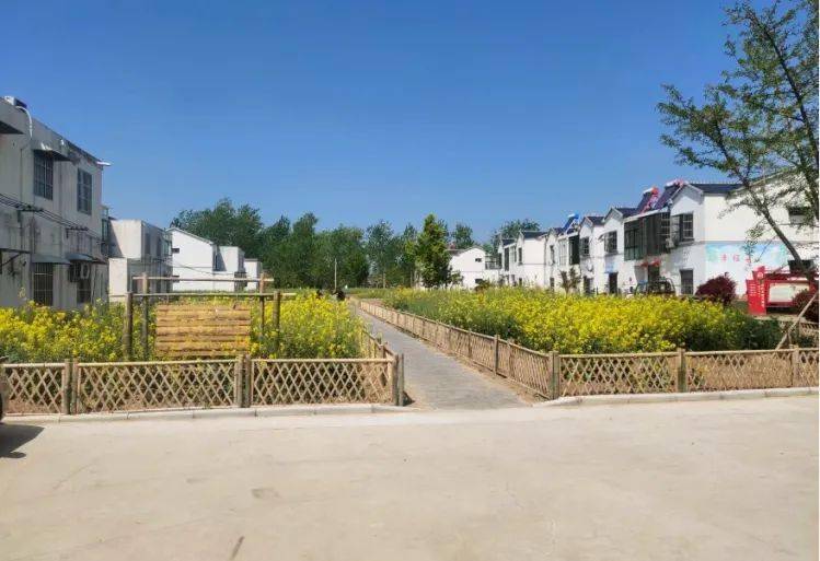 文明创建 | 泗阳县爱园镇朱家圩村:紧跟时代要求 打造大美乡村_建设