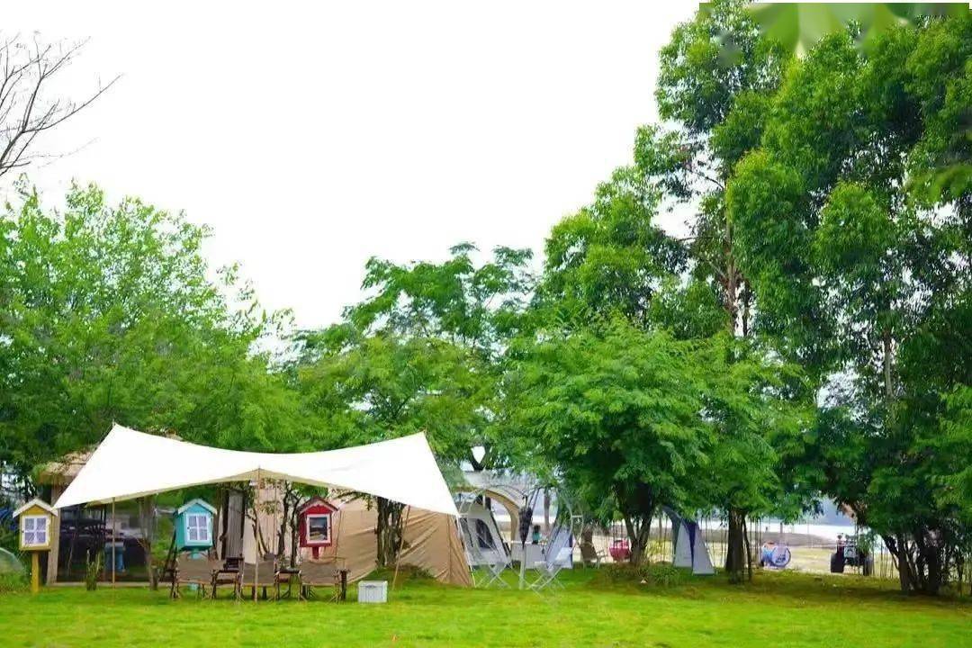 鼓嶺旅遊度假區(鼓嶺郵局,萬國公益社,大夢書屋,柳杉王公園)-柱裡露營