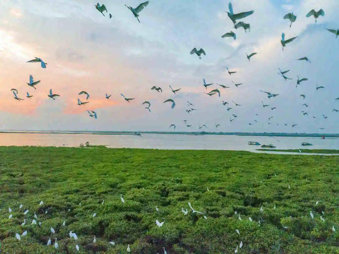 黄佩强_风光_陈华倩