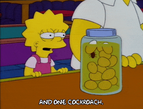 因为它们实在太强了……_生活_图片_来源