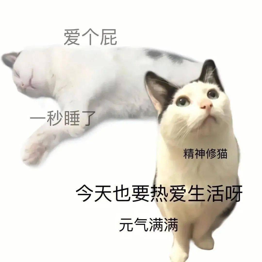 搞笑热门表情包 i 今天也要热爱生活呀_一个人_时间_因为