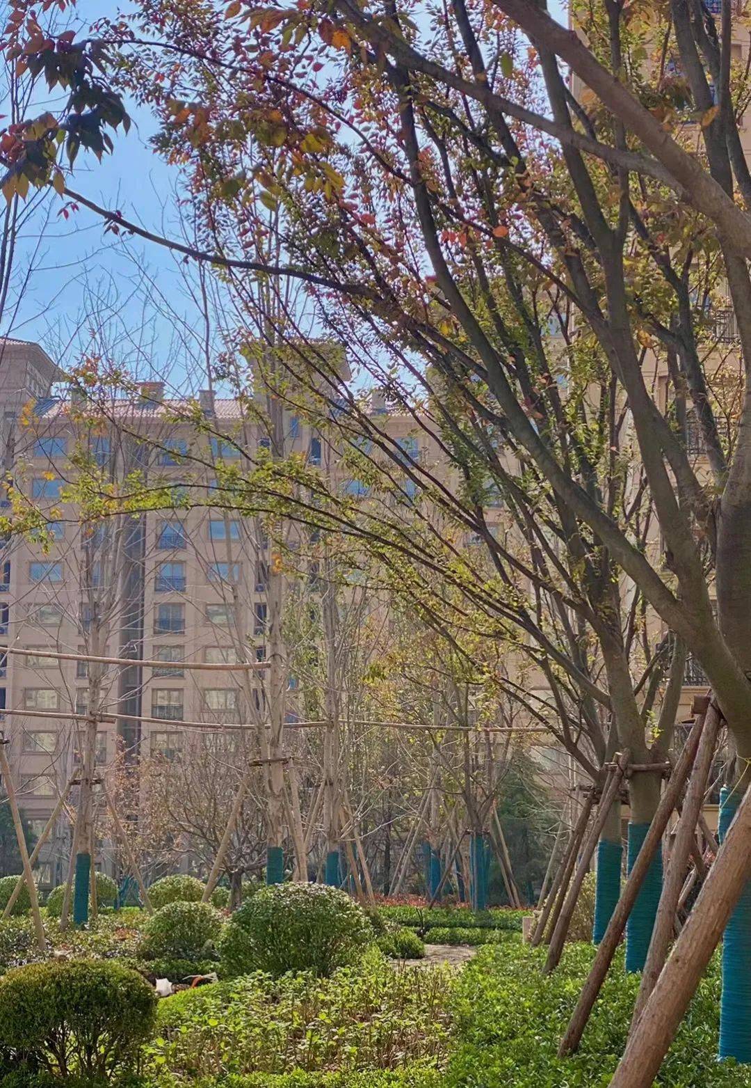 鲁信盘谷花园坚持"用好房子说话",完美诠释硬核产品力_施工_装修_户型