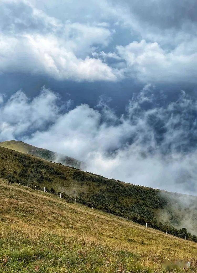 但去莫复问,白云无尽时._生命_人生_寒冬