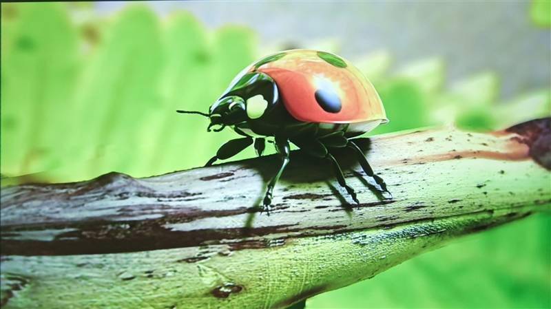 千元高颜值！联想小新100智能投影仪晨曦蓝评测：家庭影院入门就选它了