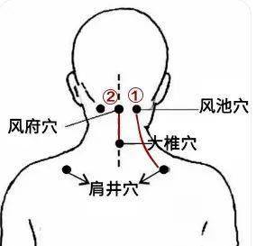 颈椎放血的位置示意图图片