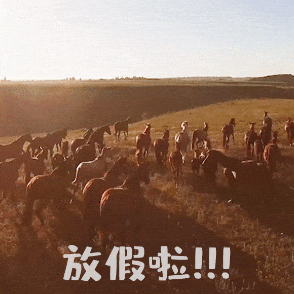 你好，2023！快收下，元旦居家消防安全小知识！