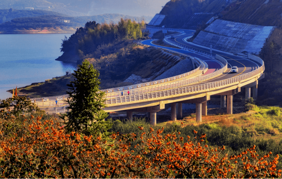 古田县利洋村:古居栖柿林,绿阴覆苍瓦_河湖_柿子_建设