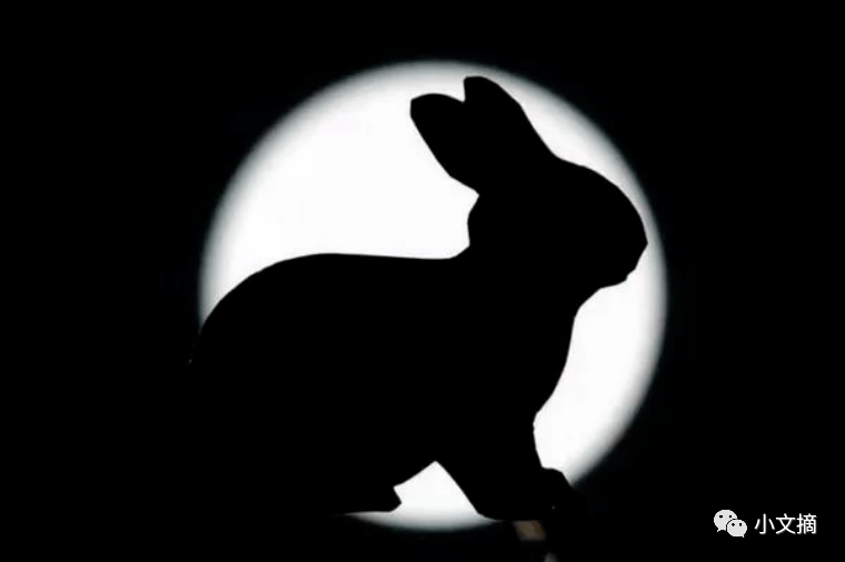 2023癸卯年,双春闰月黑兔年,明年都有啥说法?_老祖宗_农历年_十二地支