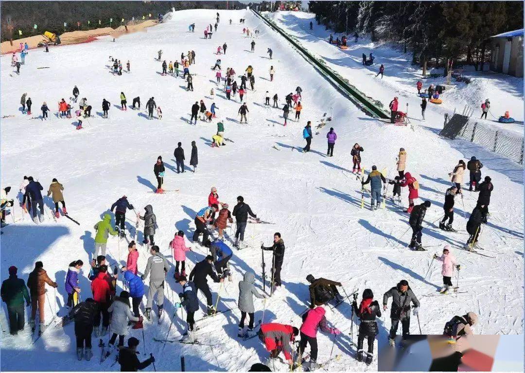 冰情雪韵狂欢游!_温泉康_花都_滑雪