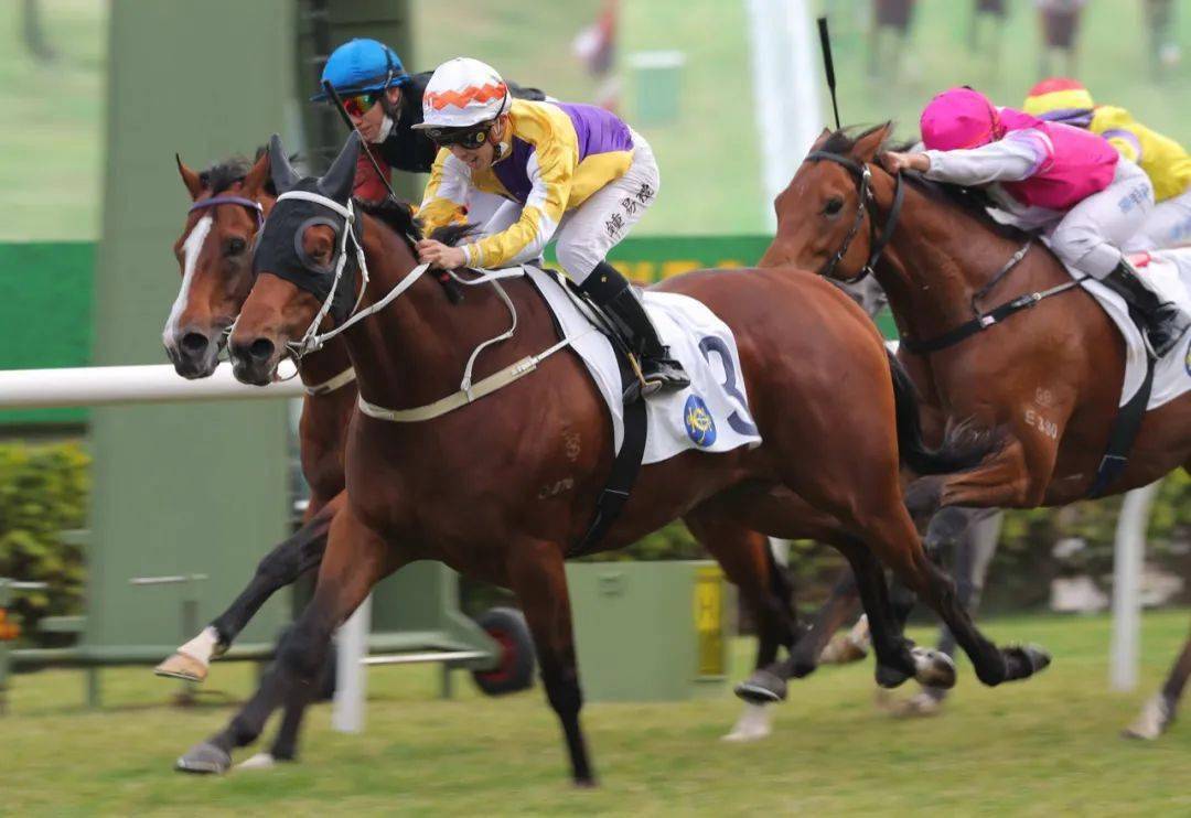 【好运连连】何泽尧刷新土生土长骑师头马纪录_注目_赛事_合伙