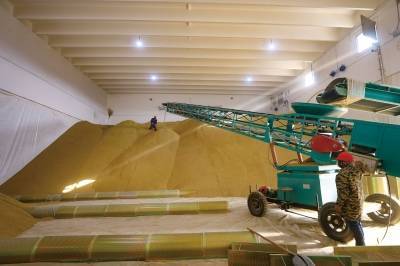 据悉,江宁彤山粮食储备库共有4座高大平房仓,总仓容达4.6万吨.