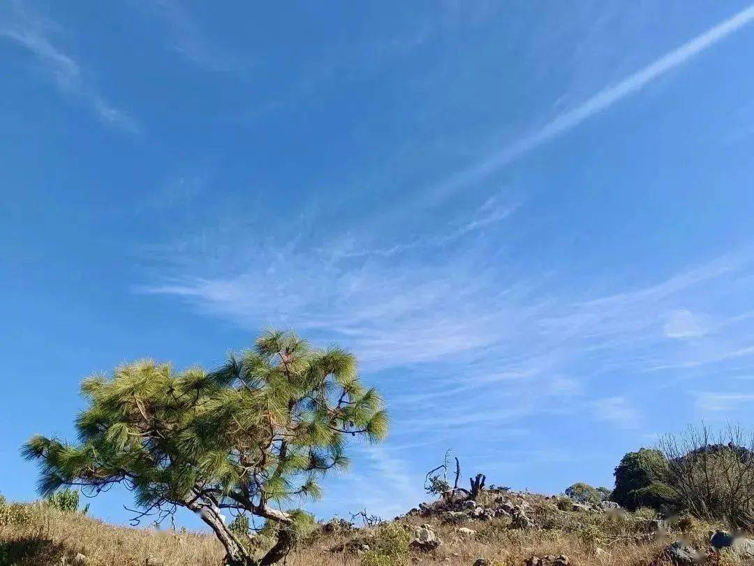 綠意盎然,藍天悠悠,白雲朵朵……每一幀畫面都彰顯著這座城市的勃勃