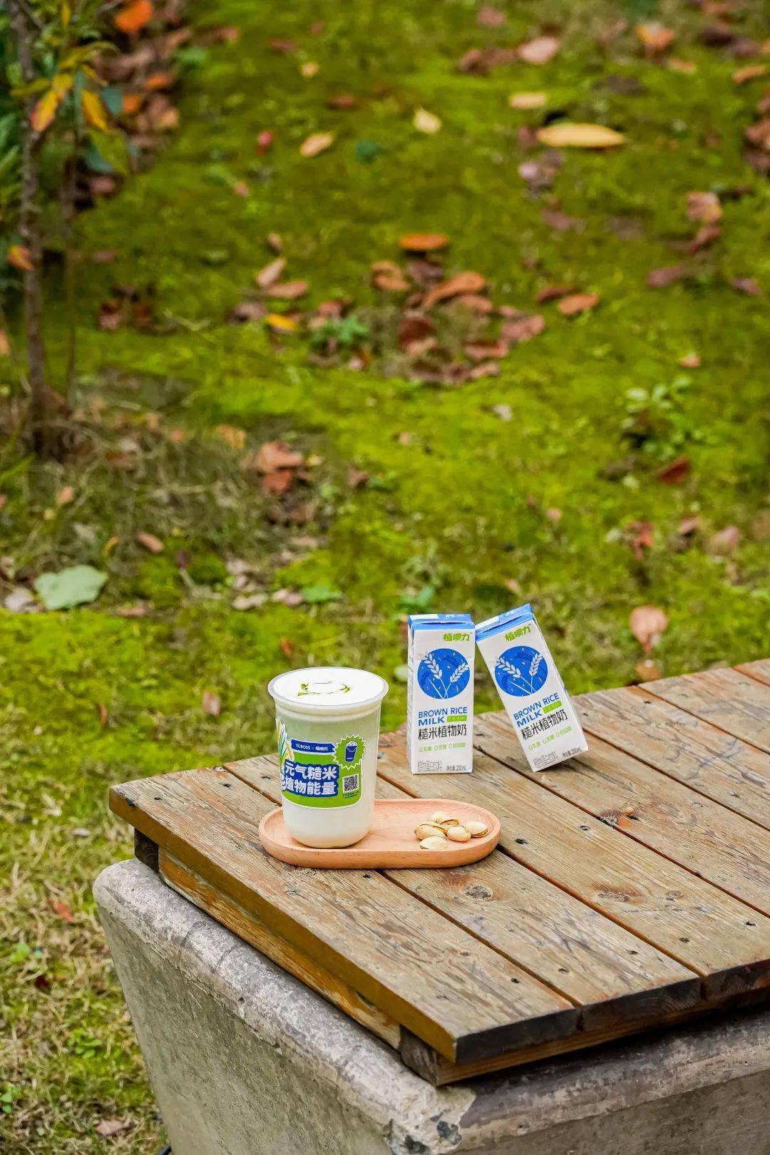 光明植噢力携手tcross | 糙米植物奶系列,元气上新!_奶茶_上海_中国