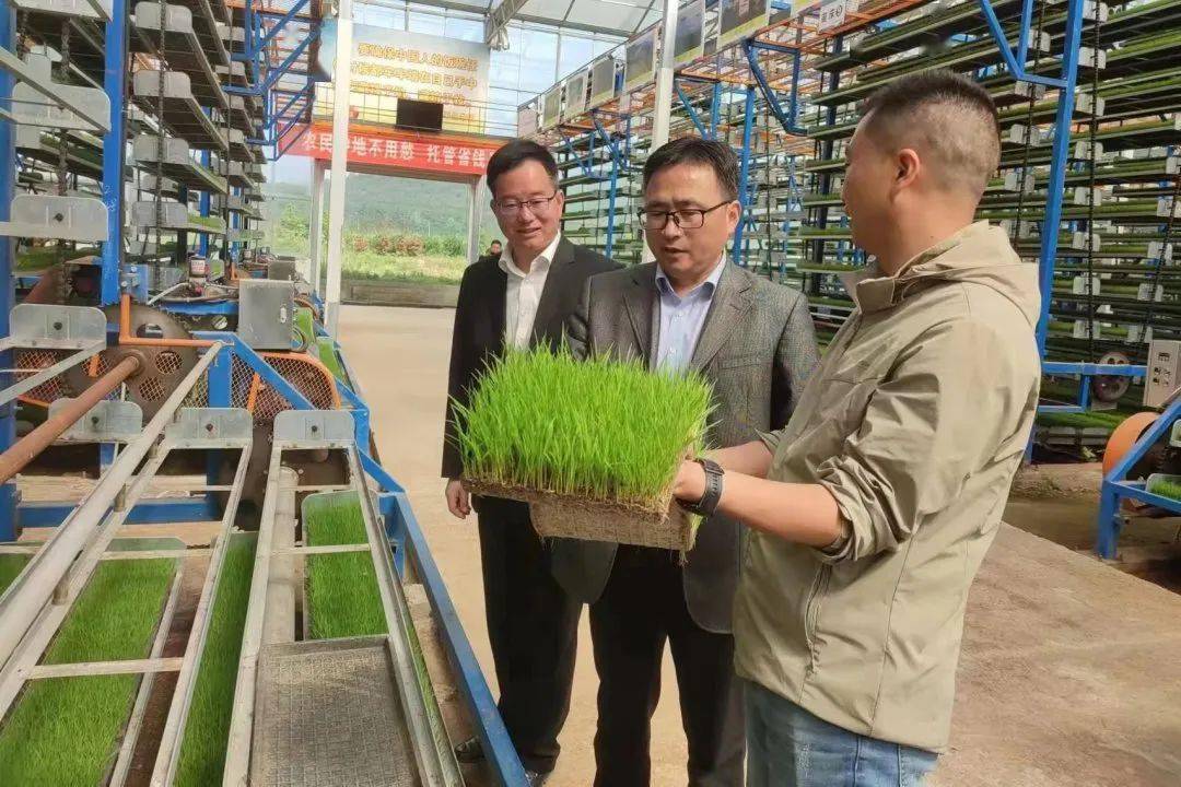 新时代新作为 94|彭黎明:以"四个更加自觉"贯彻落实党的二十大精神