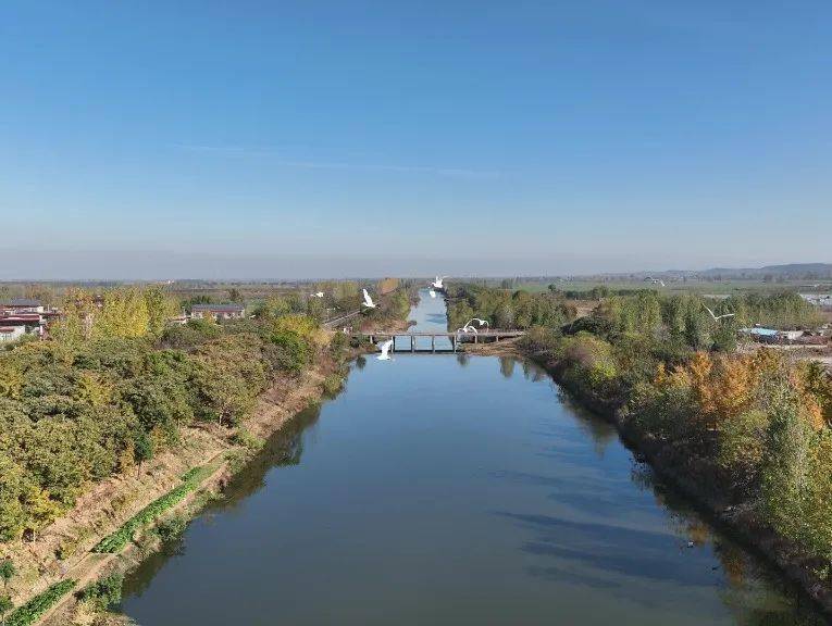 郯城县新白马河成功入选2022年省级美丽幸福示范河湖_工作_生态_河流