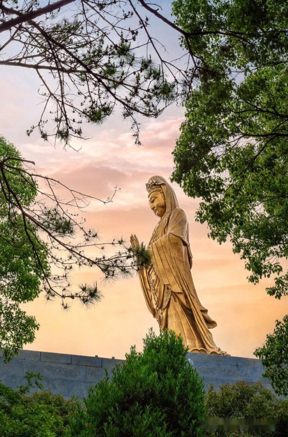 【临沂假日】【普陀山高铁/飞机】062080起天天发,禅意普陀山,南海