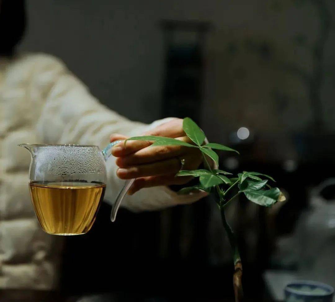 喝茶要把握"度",生活也同样需要_人生_生命_本质