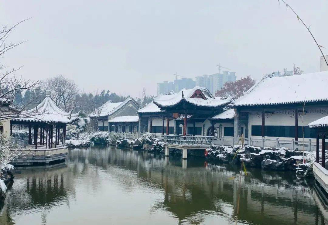 賞鄧州市花洲書院雪景——美翻啦!_中原_暢遊_版權