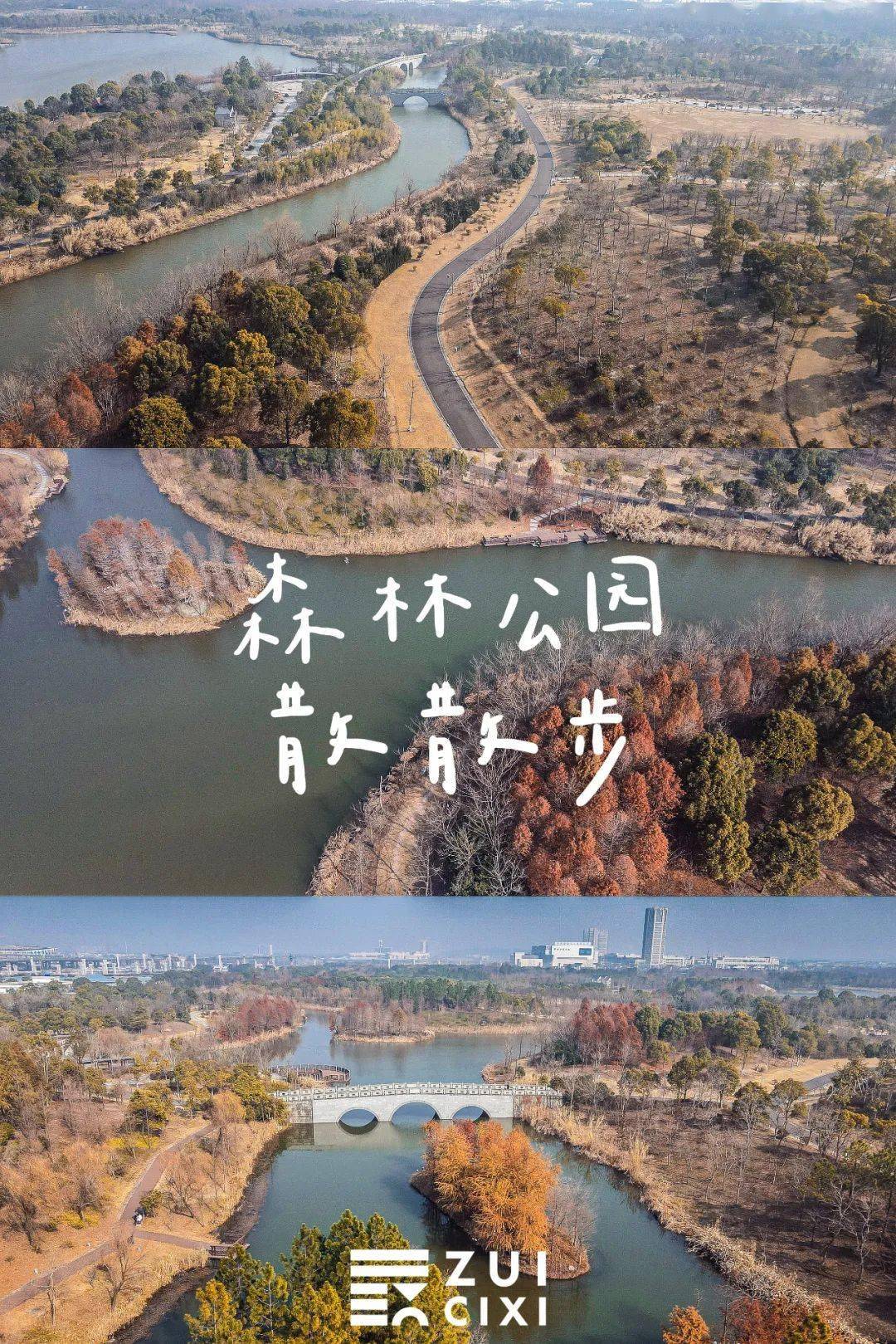 大草坪!我太爱慈溪这个公园了……_树杈_蓝天_落叶