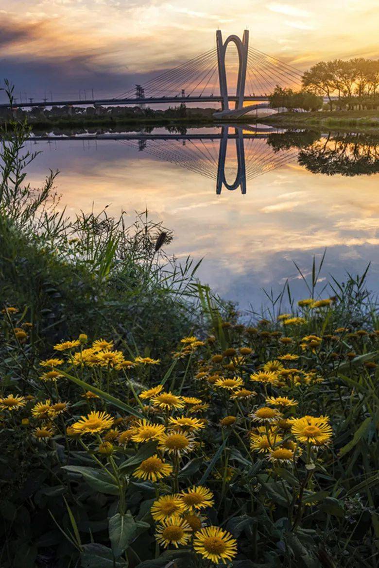 杨宏岩《你浓我爱》乌恩特《敕勒川公园》赵秀玲《大黑河之春》来源