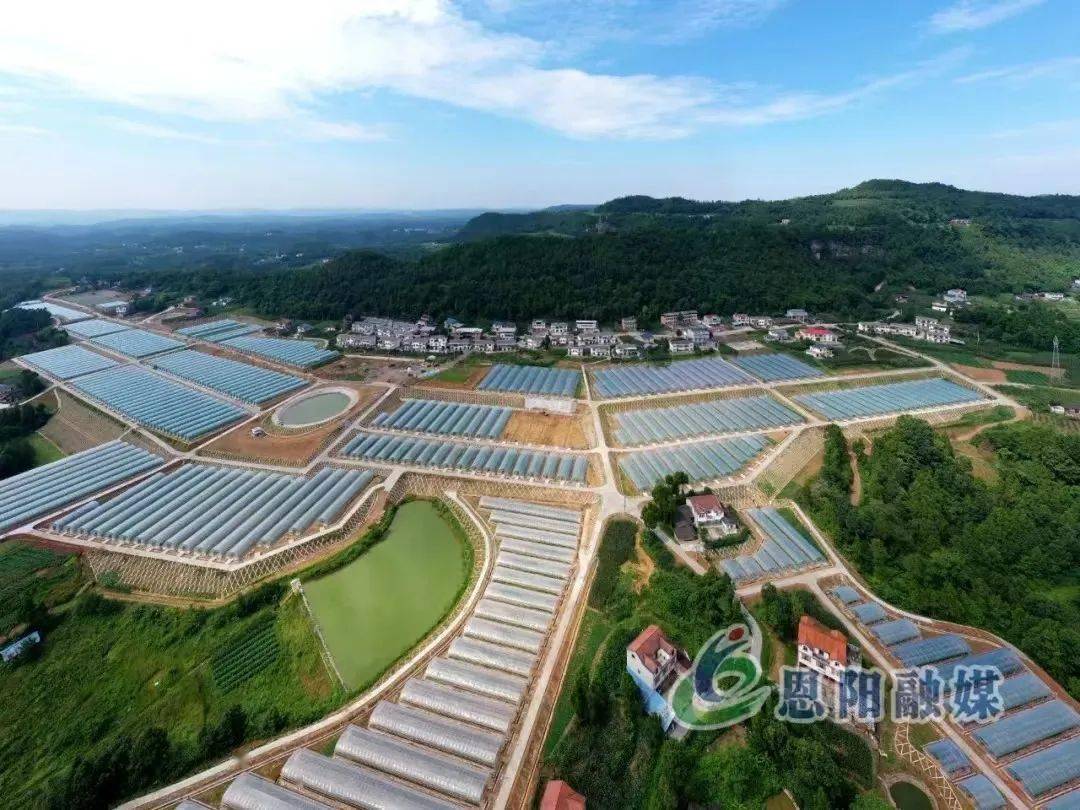 时间回到两年前,伴随隆隆的机声,寂静的海山村热闹了起来.