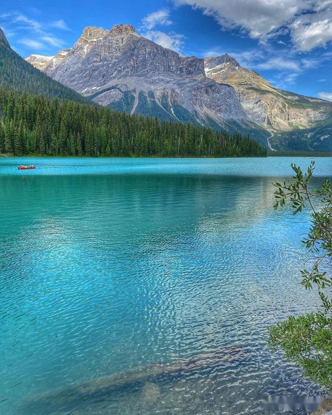 好山好水好风光_美国_奥地利_中国