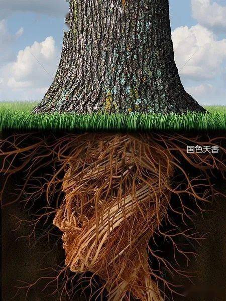 人生如树:向上生长,向下扎根_母亲_大地_童建国