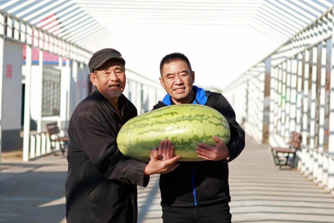 大兴区致富能手宋绍堂是土生土长的北京大兴庞各庄人,曾与父亲联手