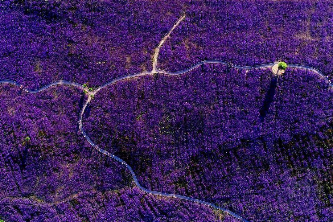 2021第二届全国航拍大赛获奖作品展——自然风光(下)_新疆_摄影网