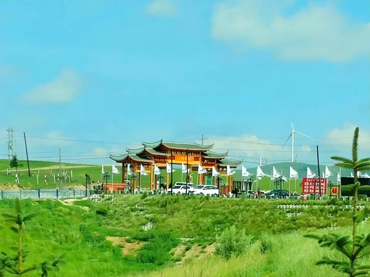 回眸张家川平安草原,让您乐不思蜀_游客_孔雀_篝火