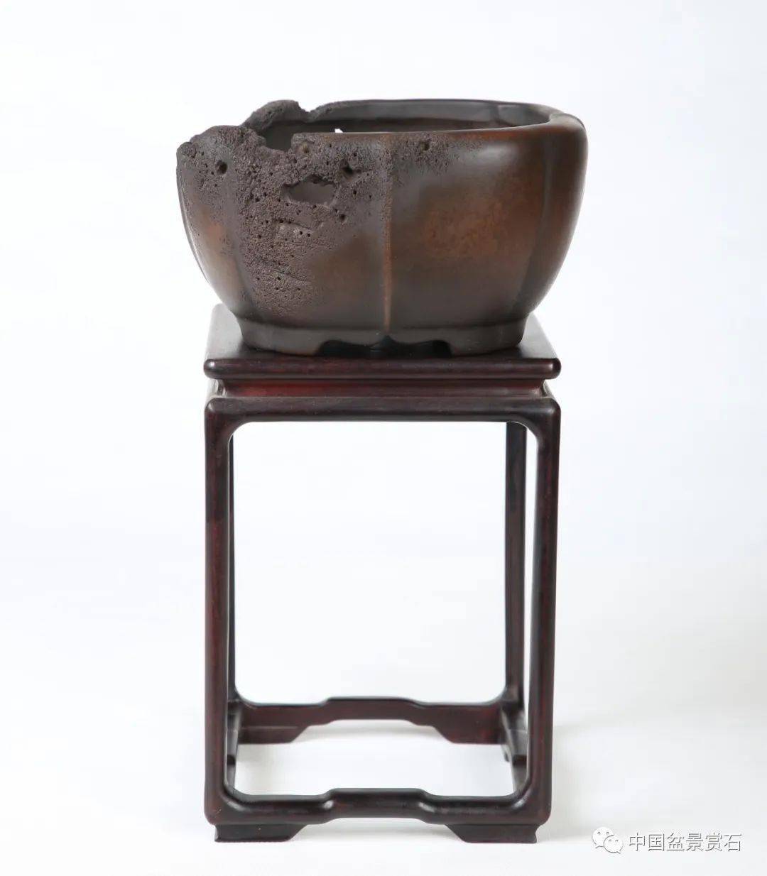 水明盆艺十八式新品惊艳出炉,不容错过!_cm_朱赛明_盆景