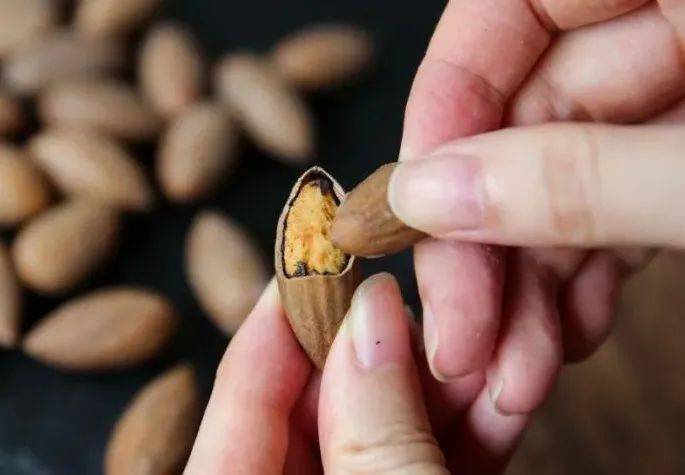 "_香榧_果子_西施眼