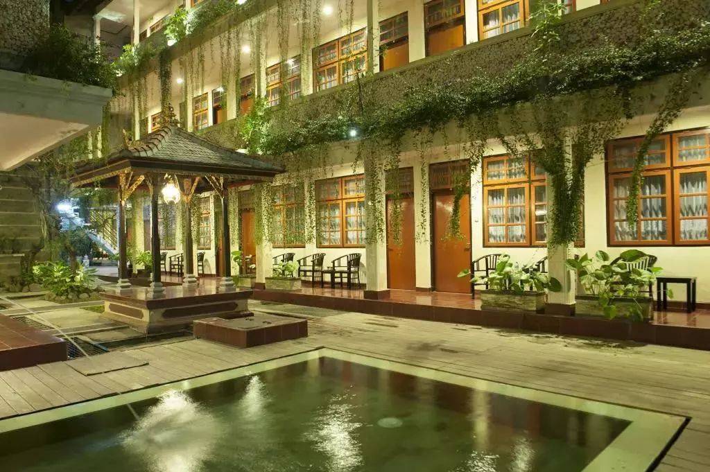 2023全新招募·巴厘岛海龟保育 | 在浪漫的巴厘岛碰见“重生”的本身