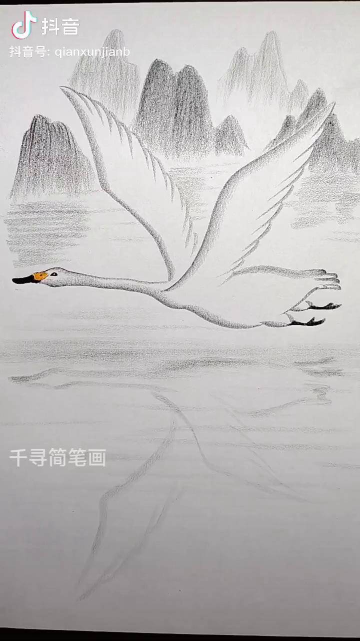 简单画飞翔的白天鹅炭笔画 一起学画画