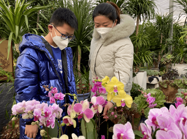 种花让生活更美好(种花让生活更美好400字)