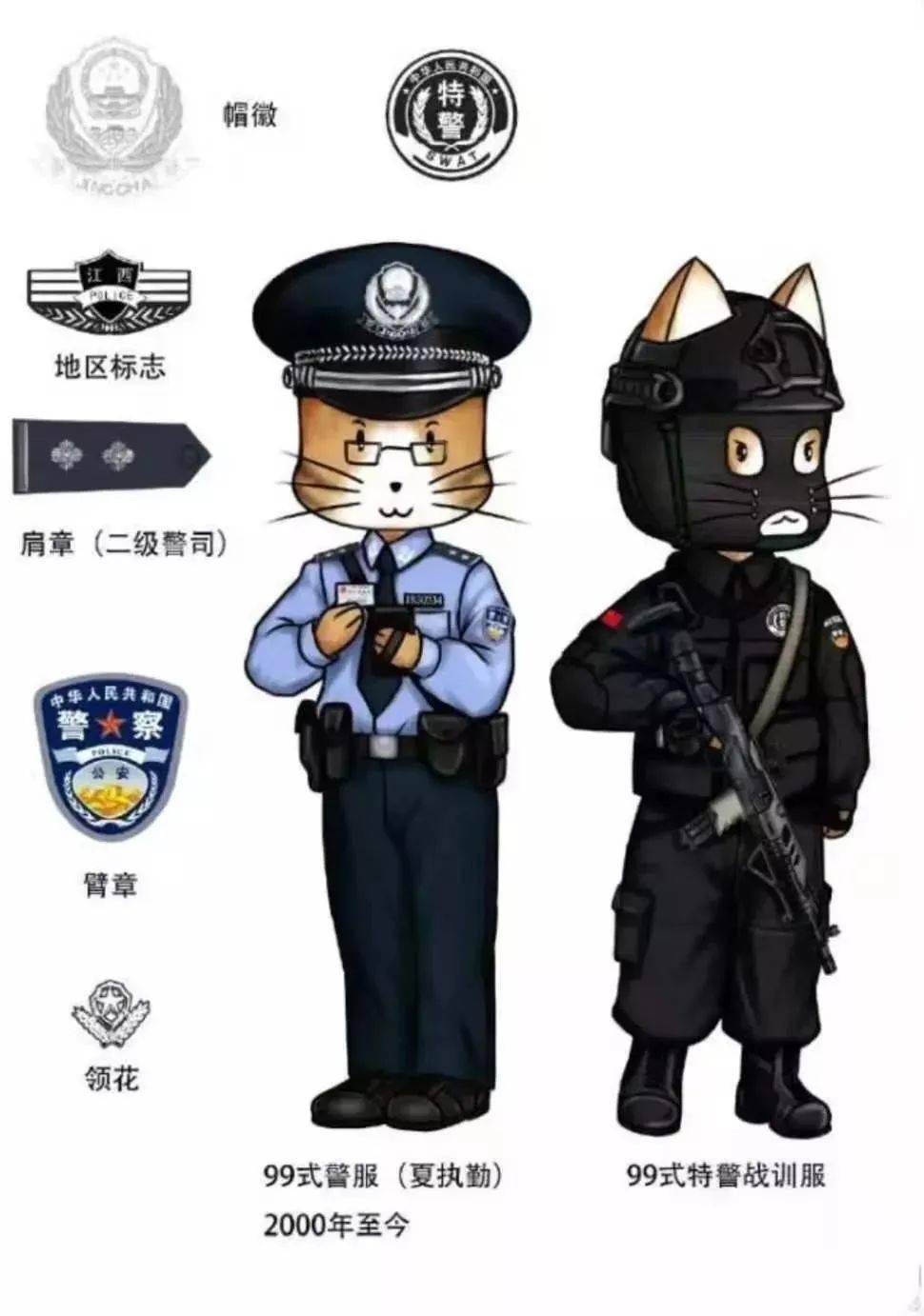 特警帽徽图片